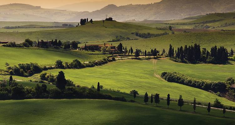 Cycle Tuscany - Intrepid Travel 7