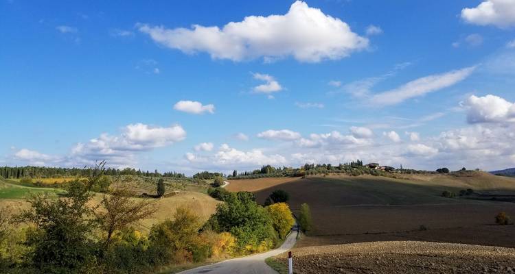 Uitgestrekt Toscaans platteland onder een helderblauwe hemel met pluizige wolkjes.