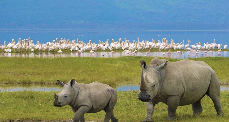 L'essentiel du safari africain - Intrepid Travel 5