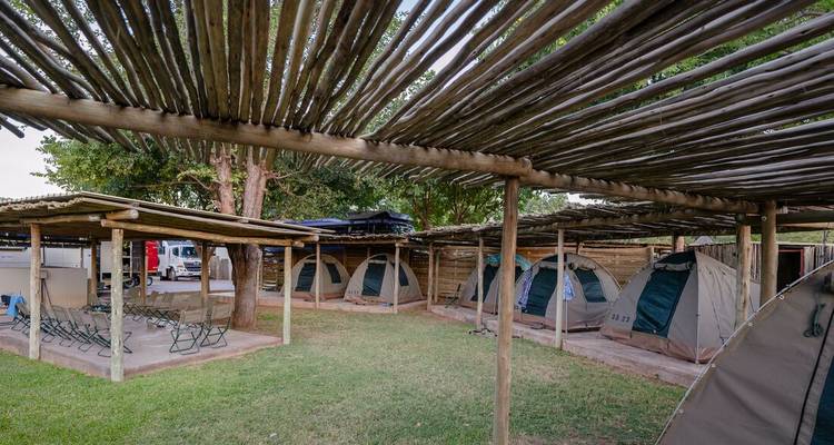 Campamento organizado con filas de tiendas de lona instaladas bajo refugios rústicos de madera sobre terreno cubierto de hierba.