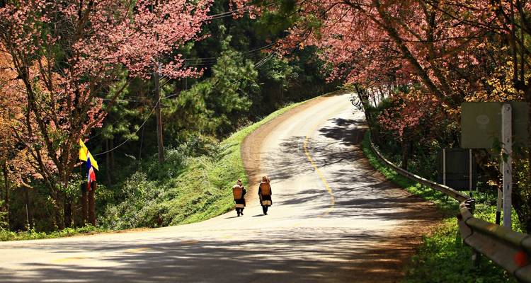 La vraie Thaïlande - Intrepid Travel 6