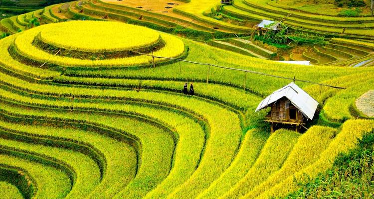 Les incontournables du Vietnam - Trafalgar 4