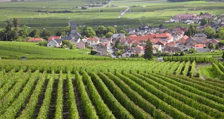 Joyaux de la France, y compris la Normandie - 8 jours - Costsaver 3