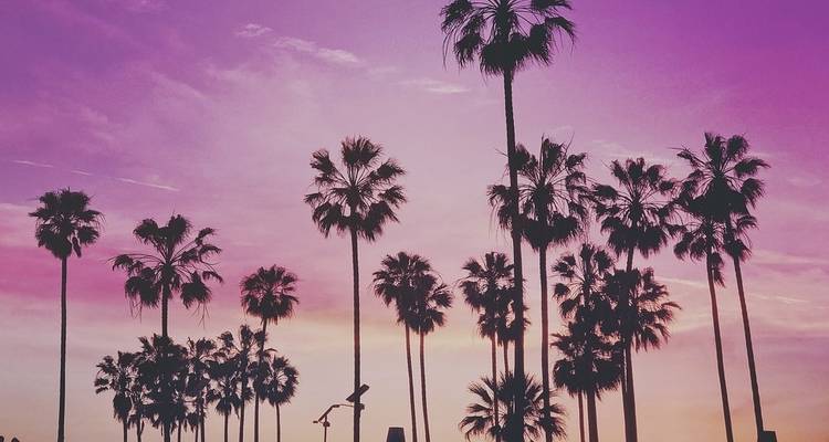 California and the Golden West (14 Days) - Costsaver 10