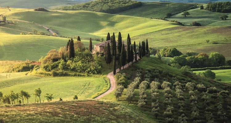 Maison de ferme toscane classique entourée de cyprès sur des collines verdoyantes ondulantes à la lumière douce de l'après-midi