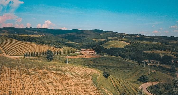 Country Roads of Tuscany & Central Italy (Classic) - Insight Vacations 7