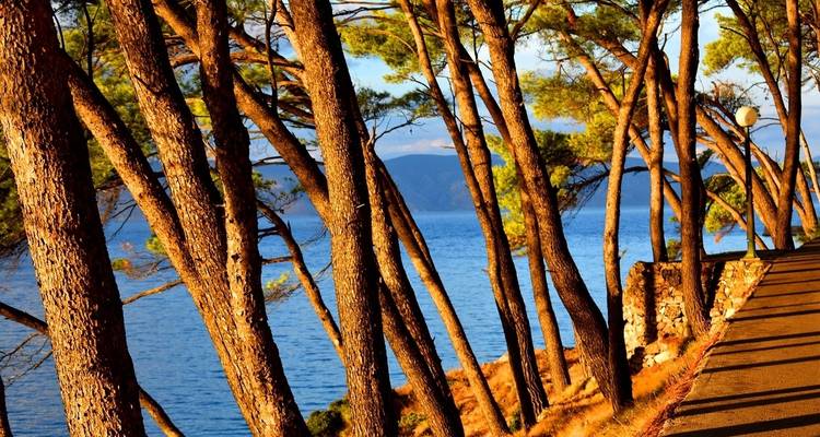 Dalmatian Elegance (Classic, Upper Deck Cruise) - Insight Vacations 8