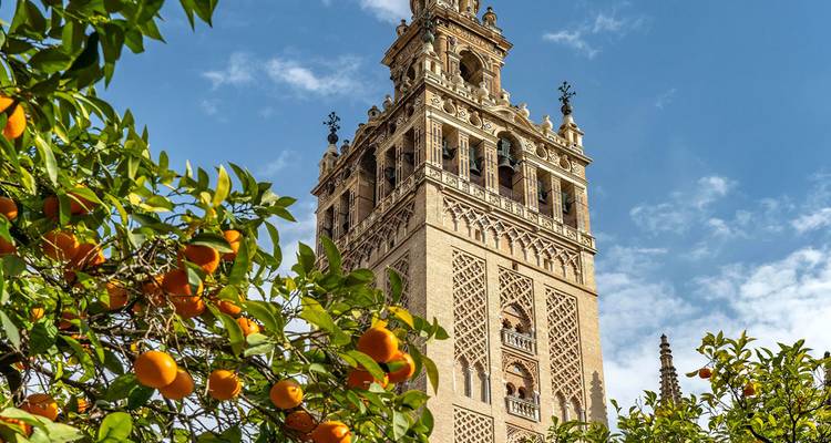 La torre campanario de la Giralda enmarcada por naranjos cargados de fruta contra un cielo brillante.