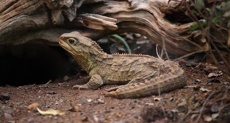 Complete Galápagos - Yolita - G Adventures 8