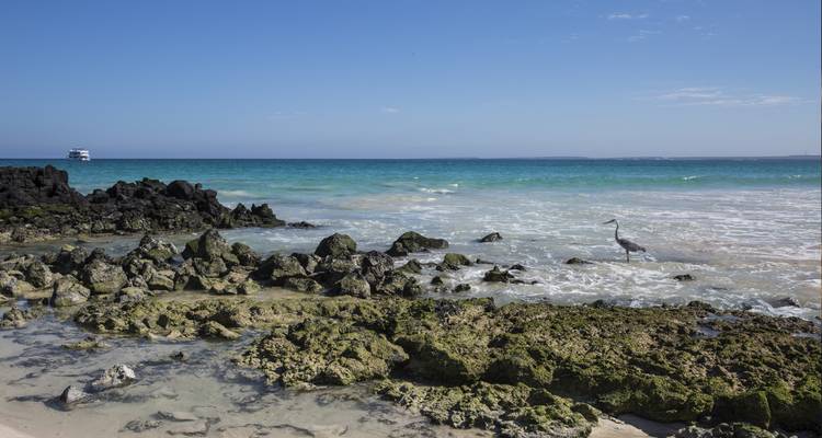 Complete Galápagos - Yolita - G Adventures 3