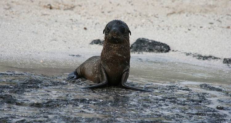 Complete Galápagos - Yolita - G Adventures 7