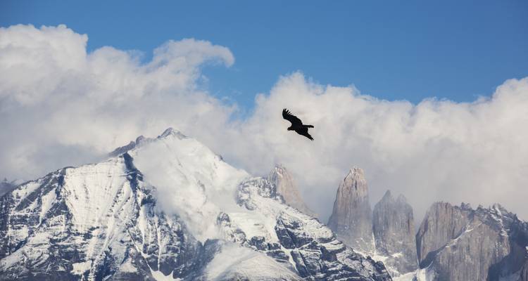 Torres del Paine - Full Circuit Trek - G Adventures 4