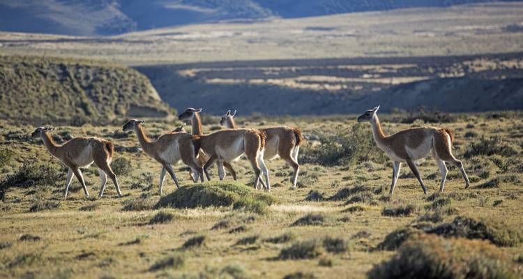 Torres del Paine - Le W Trek - G Adventures 4