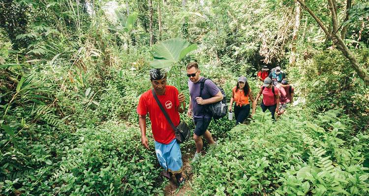 Aventure à Bali et Lombok (from Ubud to Îles Gili) - Intrepid Travel 8