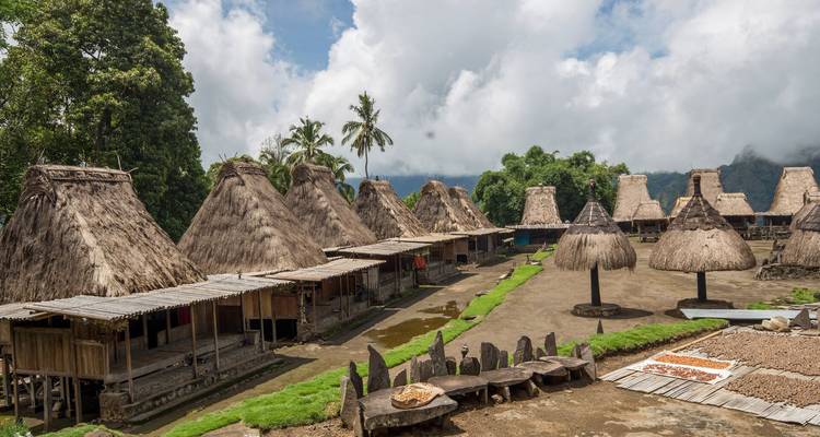 Row of traditional thatched-roof huts in a remote mountain village surrounded by lush greenery