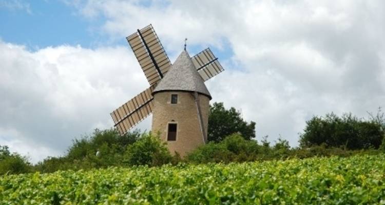 Fine Food and Wines on a Cruise through the Burgundy Region (port-to-port cruise) (8 destinations) - CroisiEurope River Cruises 1