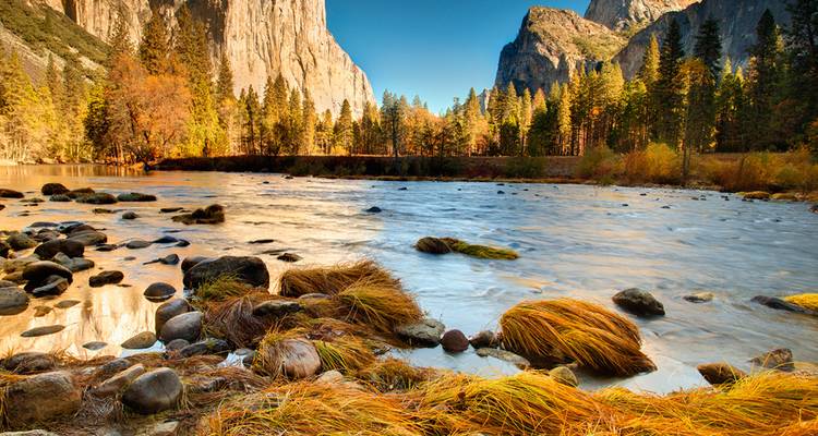 Der malerische Merced River fließt durch das Yosemite Valley, eingerahmt von Granitfelsen, farbigen Bäumen und blauem Himmel.