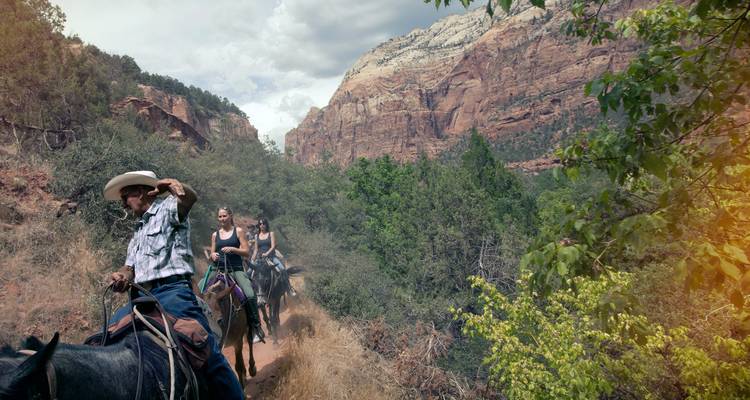 Journeys : Découvrez les Canyonlands américains National Geographic Journeys - National Geographic Journeys with G Adventures 7