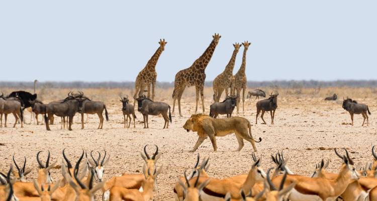 Journeys: Wonders of Namibia National Geographic Journeys - National Geographic Journeys with G Adventures 2
