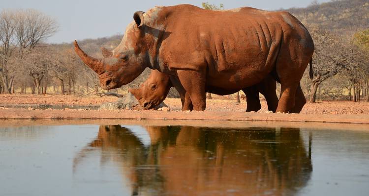 Journeys: Wonders of Namibia National Geographic Journeys - National Geographic Journeys with G Adventures 6