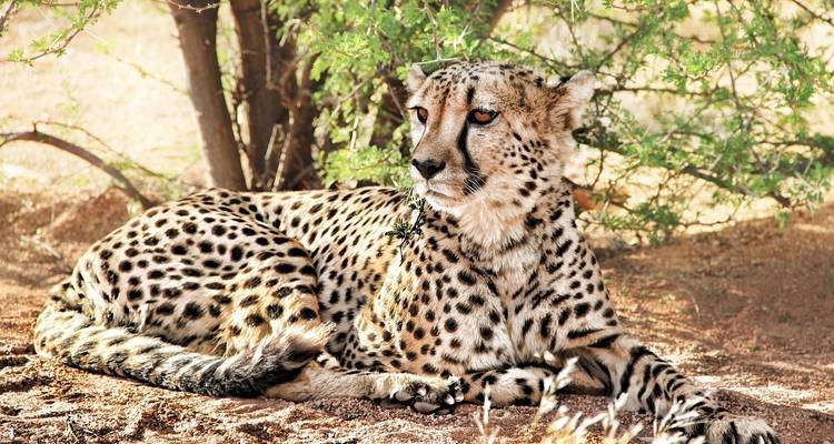 Journeys : Points forts de l'Afrique du Sud National Geographic Journeys - National Geographic Journeys with G Adventures 7