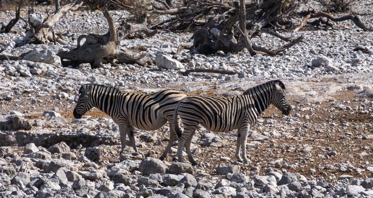 Journeys : Kruger National Park, Victoria Falls & Namibia National Geographic Journeys - National Geographic Journeys with G Adventures 10