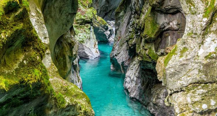 Sheer limestone walls frame an intense turquoise river winding through a mossy canyon in Slovenia.