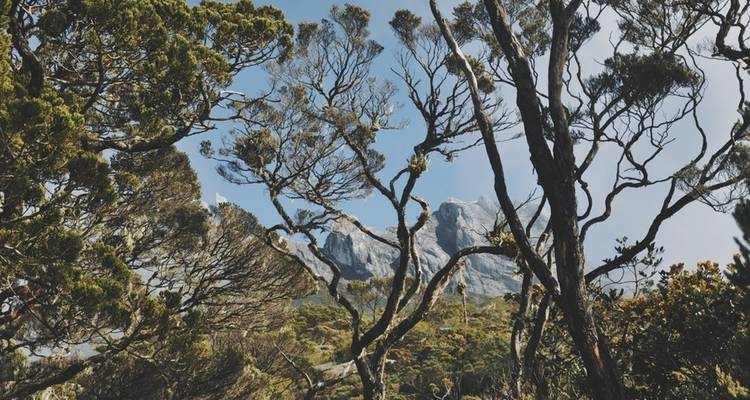 Trekking Mt Kinabalu - G Adventures 6