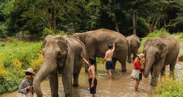 Aventure dans le nord de la Thaïlande - TruTravels 2
