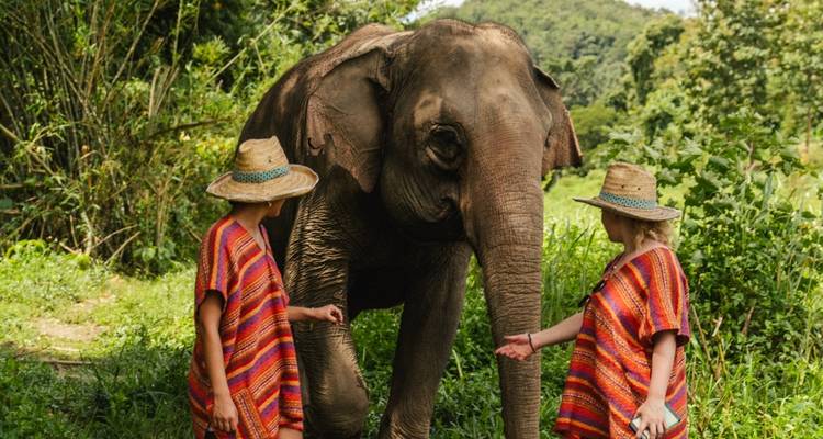 Aventure dans le nord de la Thaïlande - TruTravels 7