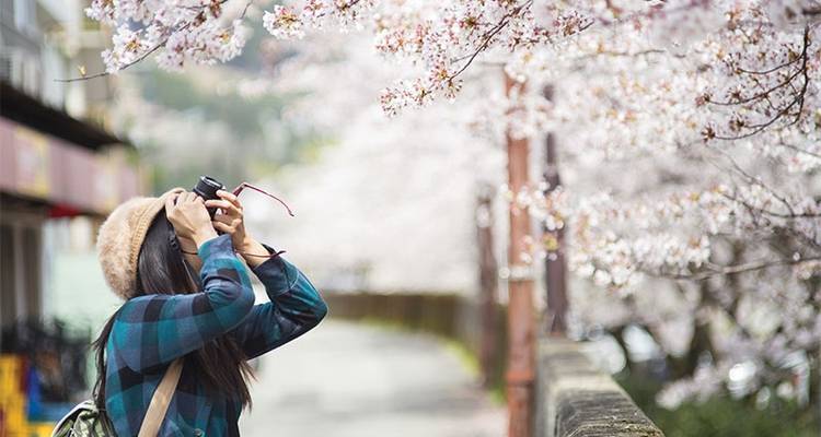 Plongez dans les profondeurs du Japon 2022- 23 - Topdeck 8