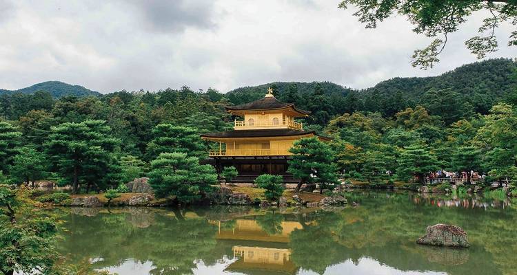Plongez dans les profondeurs du Japon 2022- 23 - Topdeck 9
