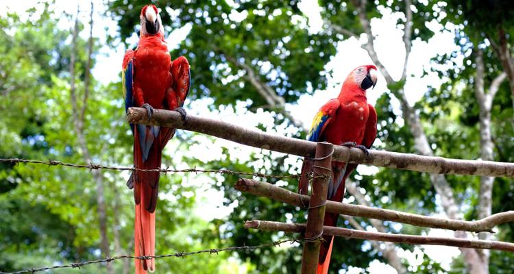 El atractivo de Centroamérica - Guatemala, Honduras, El Salvador, Nicaragua - Penguin Travel 6
