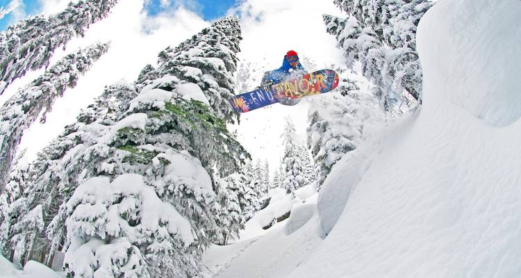 Un snowboardeur effectue un saut en hauteur entre des sapins toujours verts chargés de neige sous un ciel bleu éclatant.