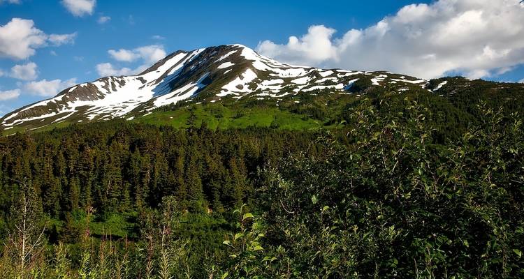 Aventura en Alaska, Kenai y Denali - G Adventures 4
