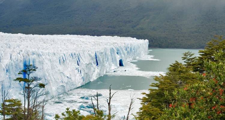 Profil latéral de l'imposant mur de glace du glacier Perito Moreno rencontrant le lac vert entouré de forêt