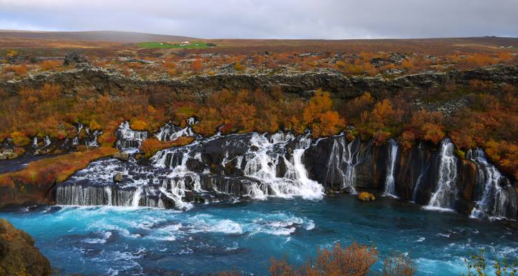 Cascada Hraunfossar cayendo sobre un campo de lava en otoño.