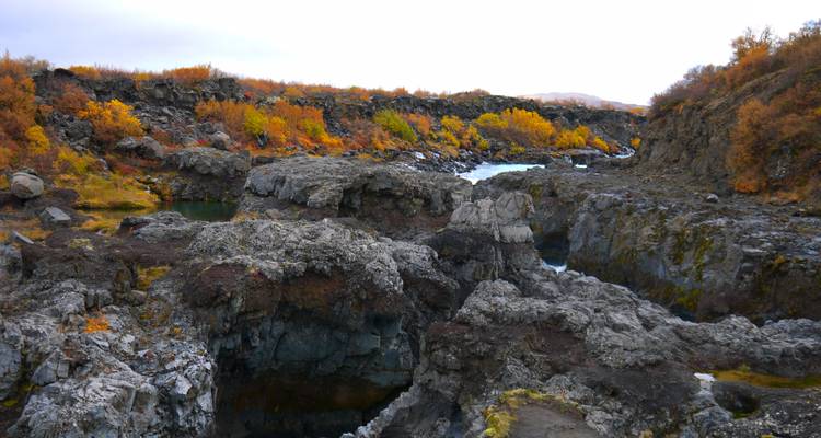 Agua corriendo a través de un arroyo rocoso con árboles de otoño.