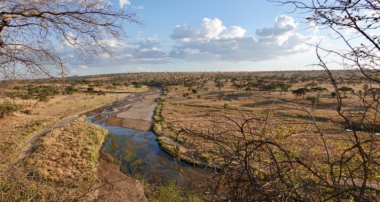 Safari au Serengeti - Voyage privé - OneSeed Expeditions 10