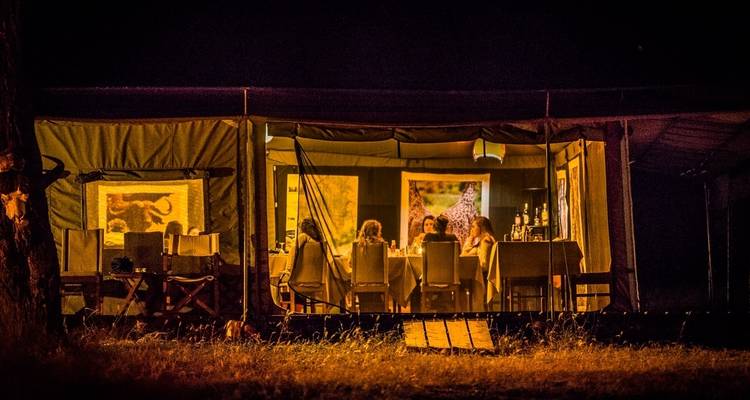 Serengeti Safari - (PRIVATE TRIP) - OneSeed Expeditions 6