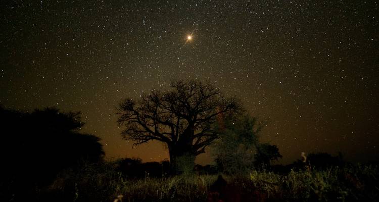 Serengeti Safari - (PRIVATE TRIP) - OneSeed Expeditions 9