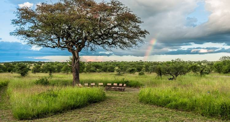 Serengeti Safari - (PRIVATE TRIP) - OneSeed Expeditions 8