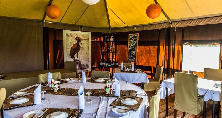 Serengeti Safari - (PRIVATE TRIP) - OneSeed Expeditions 3