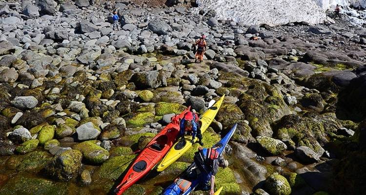 Coastal Kayaking Adventure - Borea Adventures 7