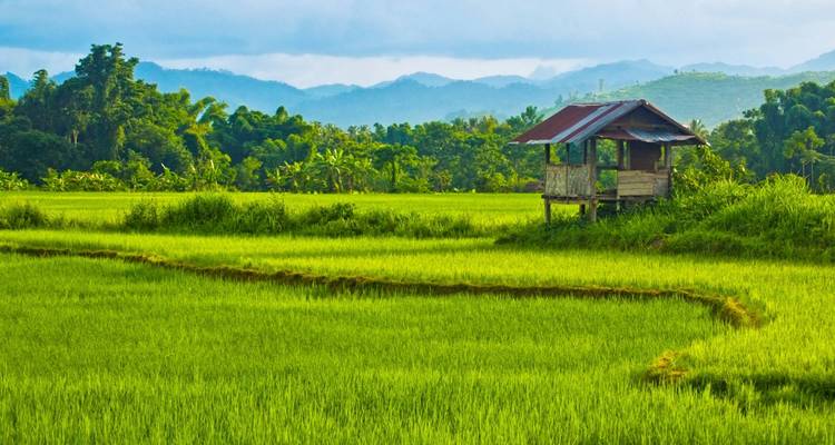 Lo mejor de Laos - 7 días - On The Go Tours 1