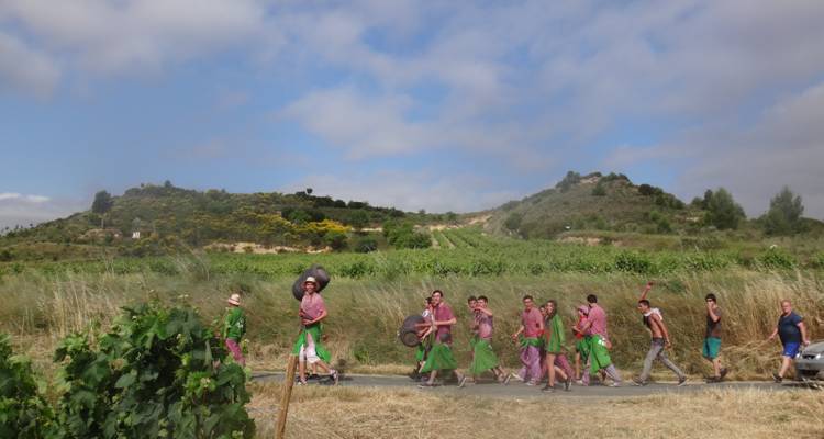 Groupe de personnes vêtues de violet marchant le long d'une route dans un paysage de vignoble.