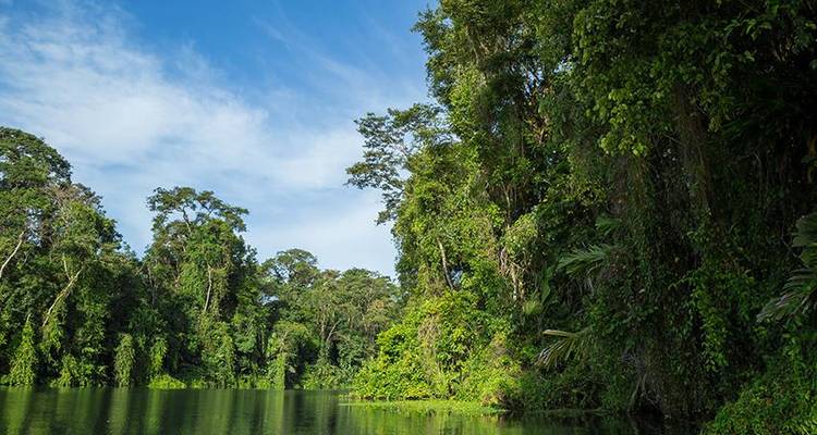 Tortuguero National Park Adventure 4D/3N - Bamba Travel 1