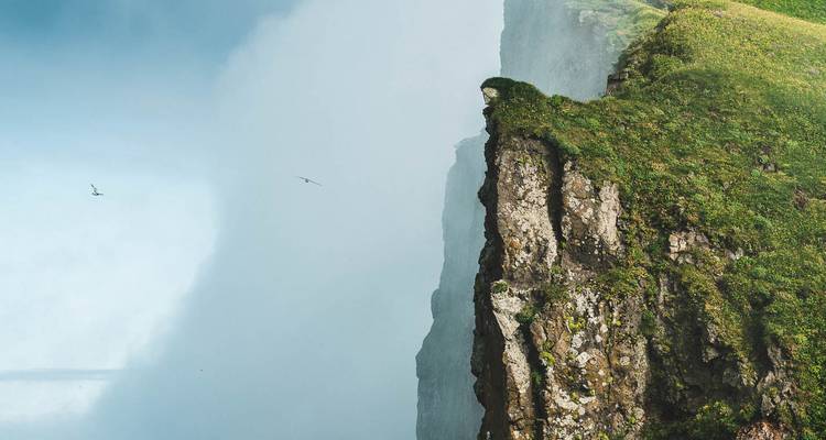Dramatische senkrechte Felswand verschwindet im Nebel, während Seevögel in der Nähe kreisen.