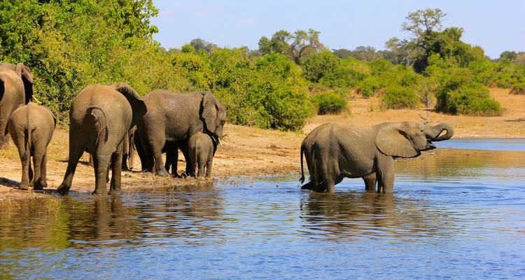 Southern Africa aboard the African Dream: travel to the ends of the earth (port-to-port cruise) - CroisiEurope River Cruises 6