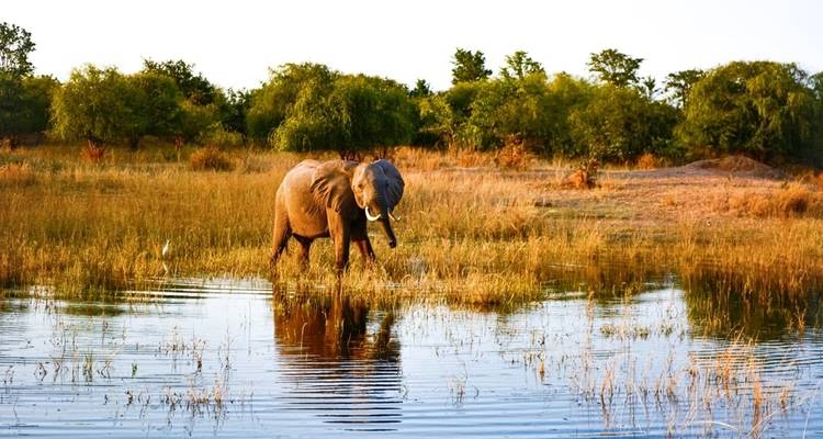 Southern Africa aboard the African Dream: travel to the ends of the earth (port-to-port cruise) - CroisiEurope River Cruises 3